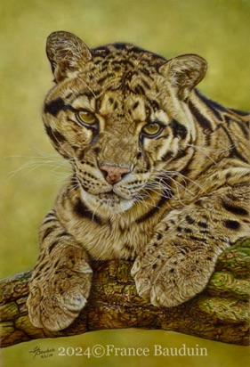 Clouded Leopard - 90.5 hours
Sand Pastelmat Board
19" x 13"
Ref: My own photo Clouded Leopard - 90.5 hours
Sand Pastelmat Board
19" x 13"
Ref: My own photo
